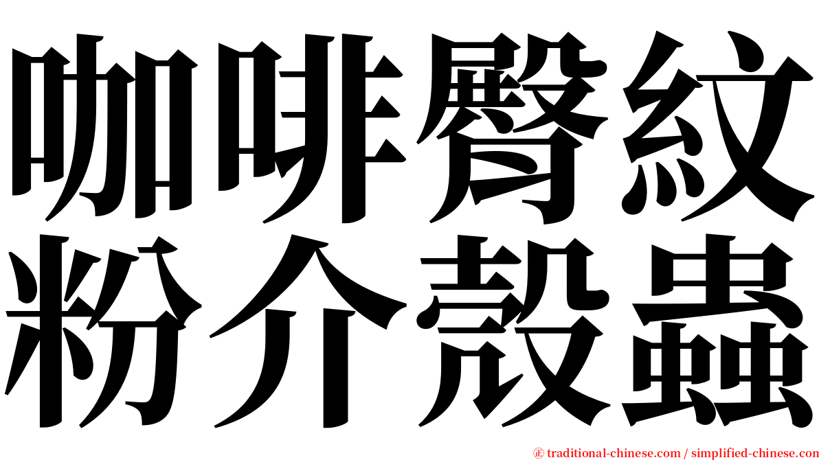 咖啡臀紋粉介殼蟲 serif font