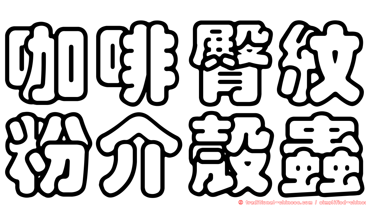 咖啡臀紋粉介殼蟲
