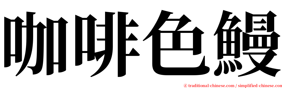 咖啡色鰻 serif font