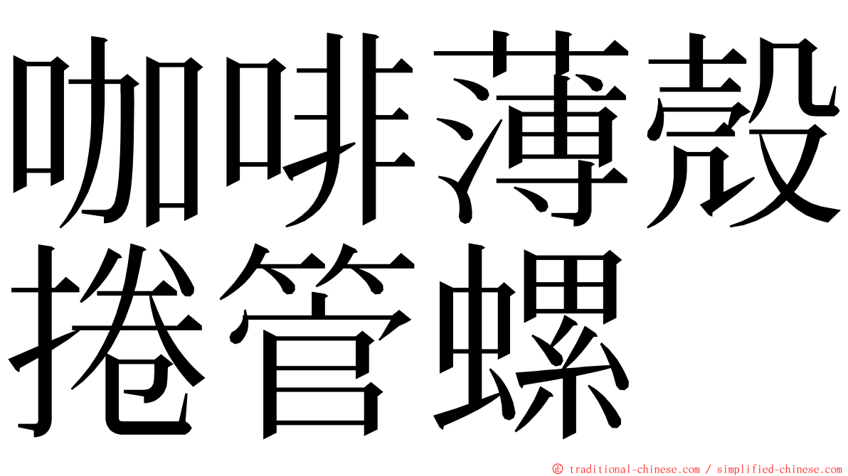 咖啡薄殼捲管螺 ming font