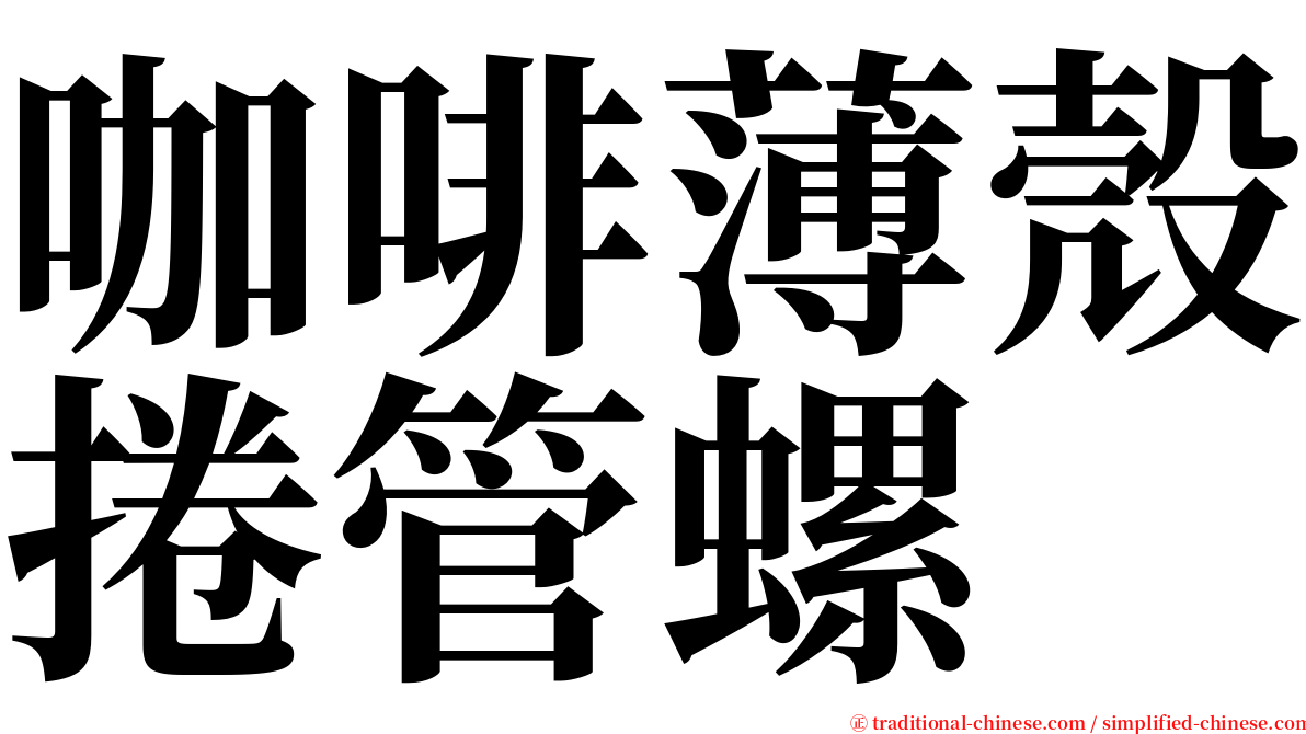 咖啡薄殼捲管螺 serif font