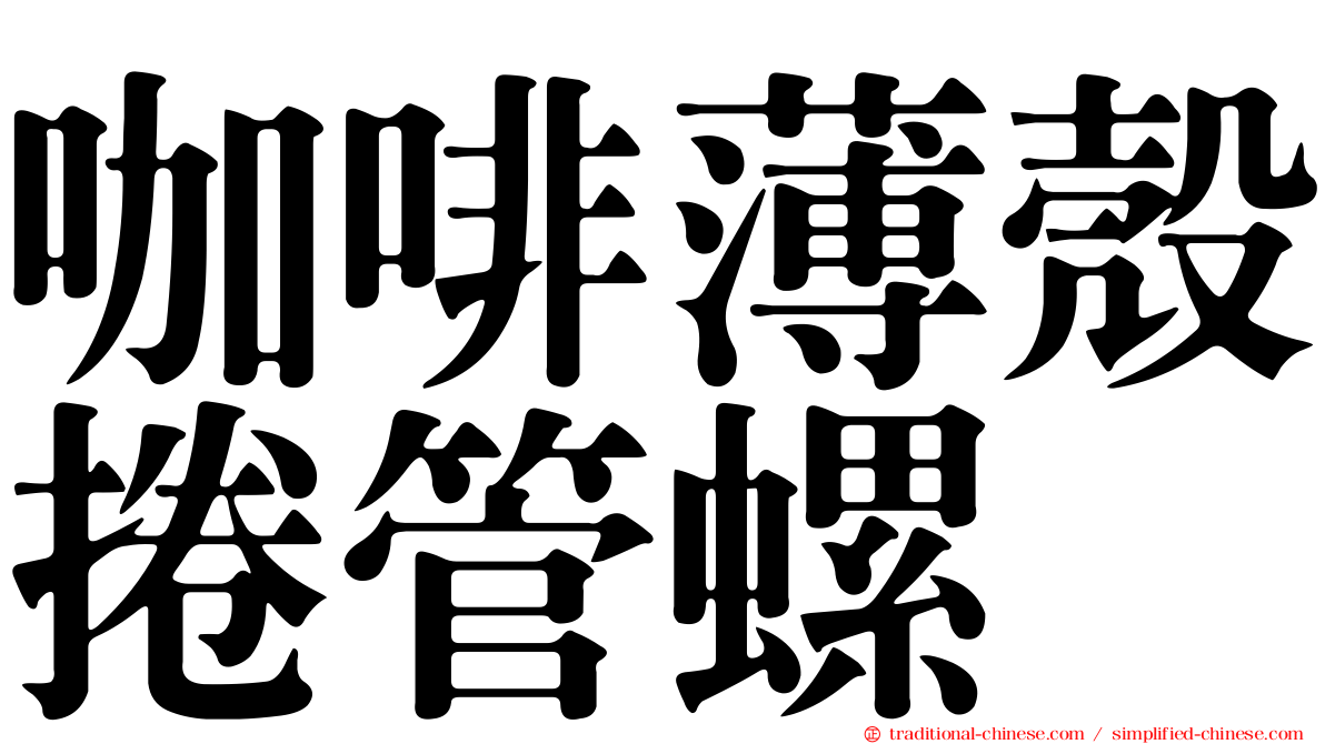 咖啡薄殼捲管螺