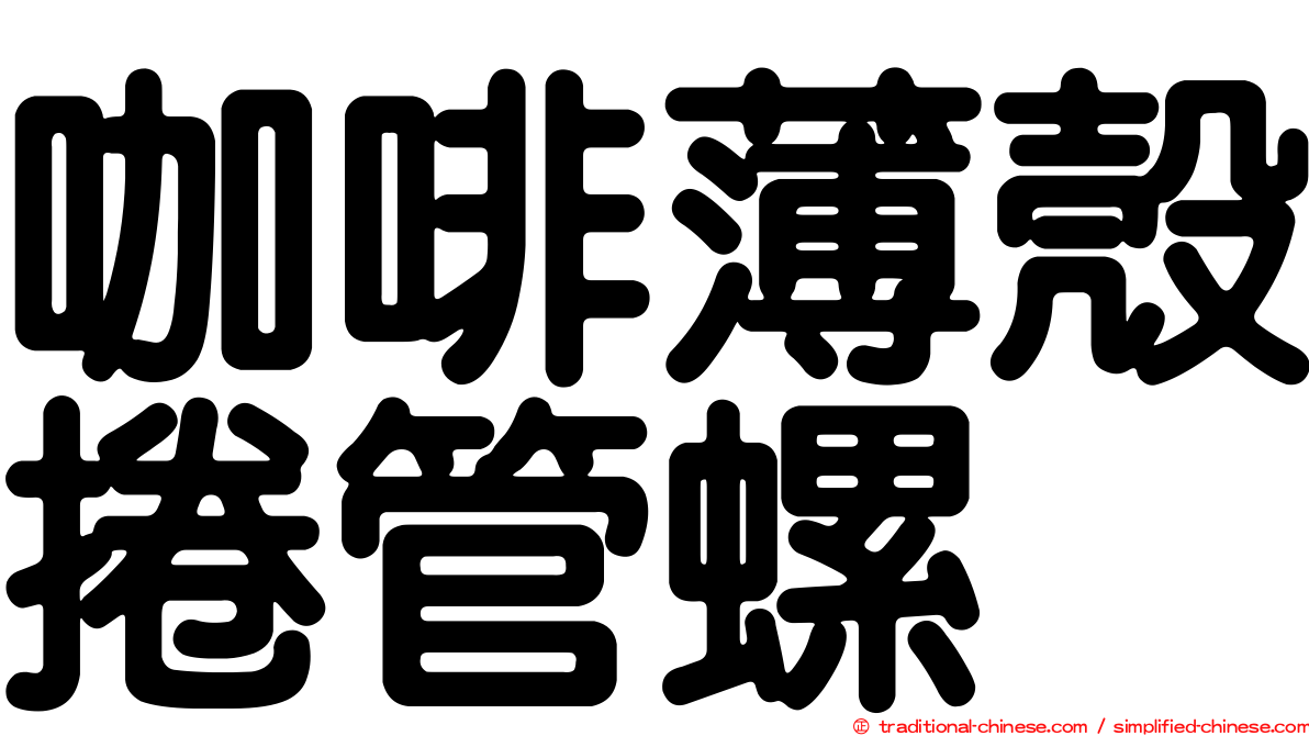 咖啡薄殼捲管螺