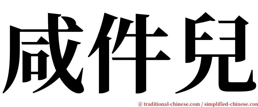 咸件兒 serif font