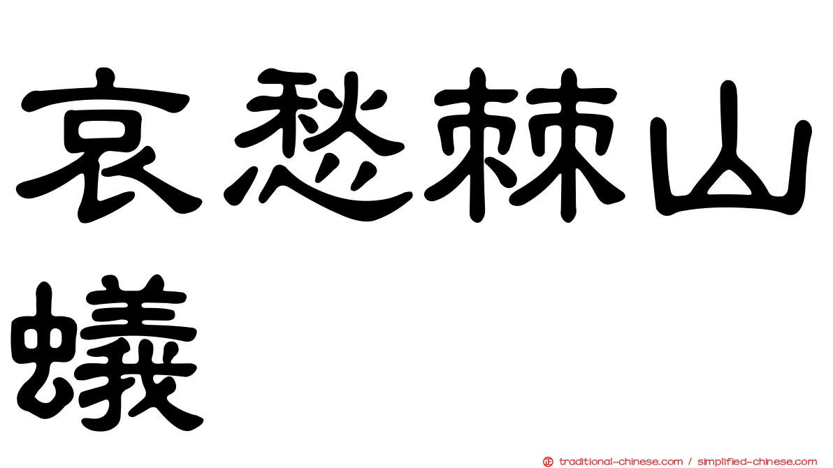 哀愁棘山蟻