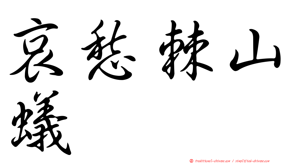 哀愁棘山蟻