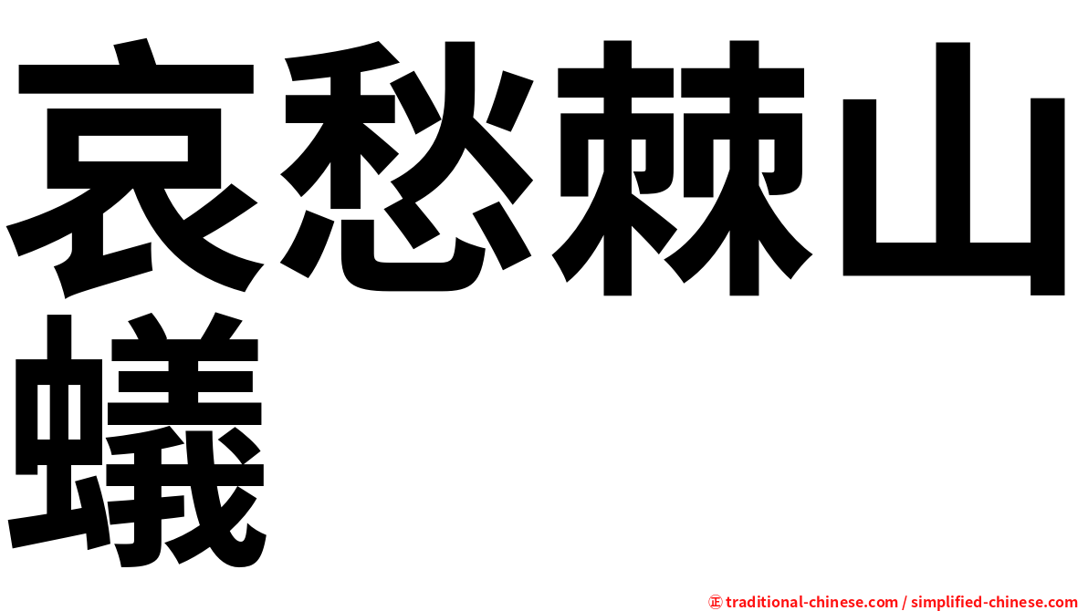 哀愁棘山蟻
