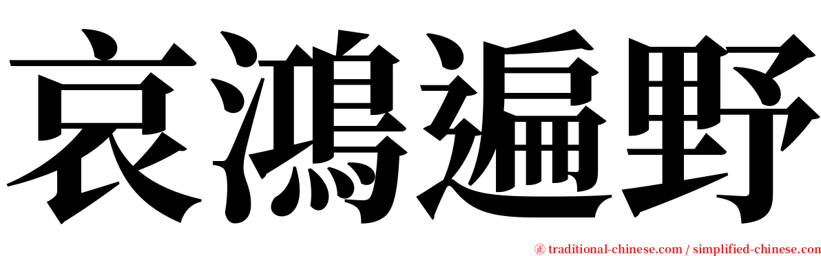 哀鴻遍野 serif font