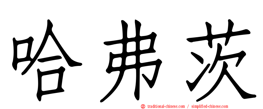 哈弗茨
