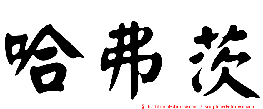 哈弗茨