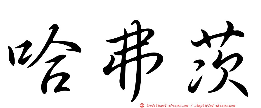 哈弗茨