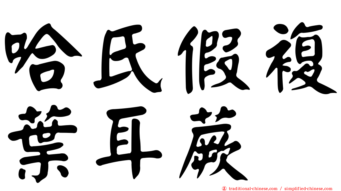 哈氏假複葉耳蕨