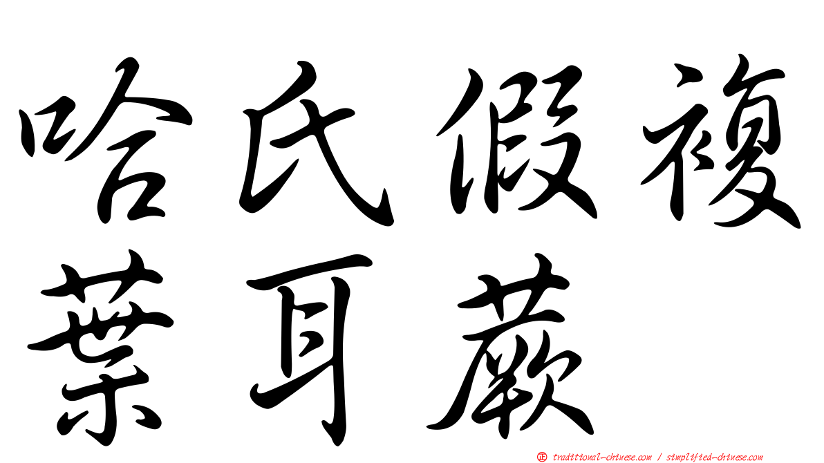 哈氏假複葉耳蕨