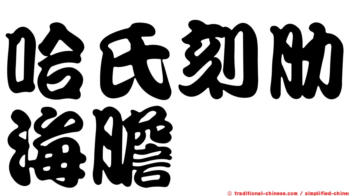 哈氏刻肋海膽