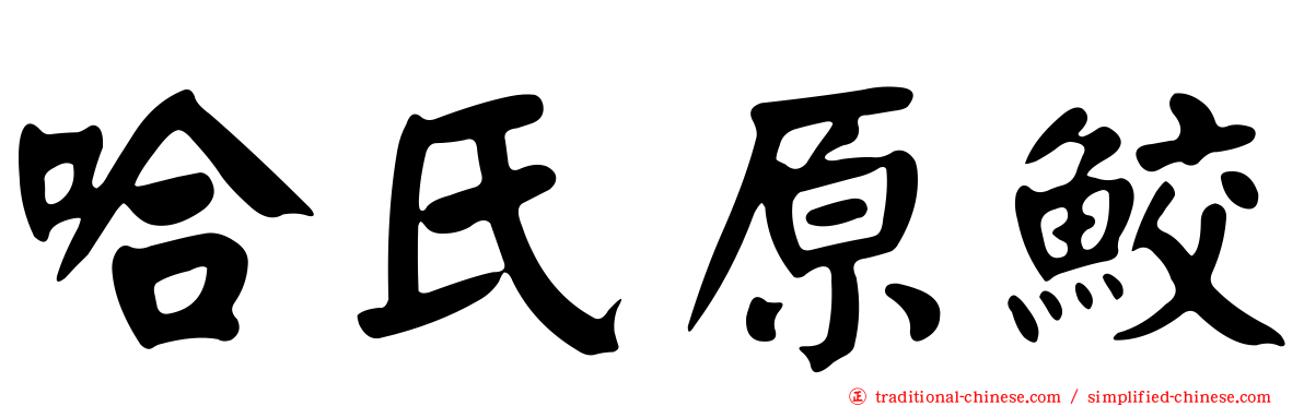哈氏原鮫