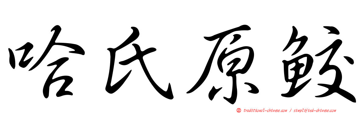 哈氏原鮫