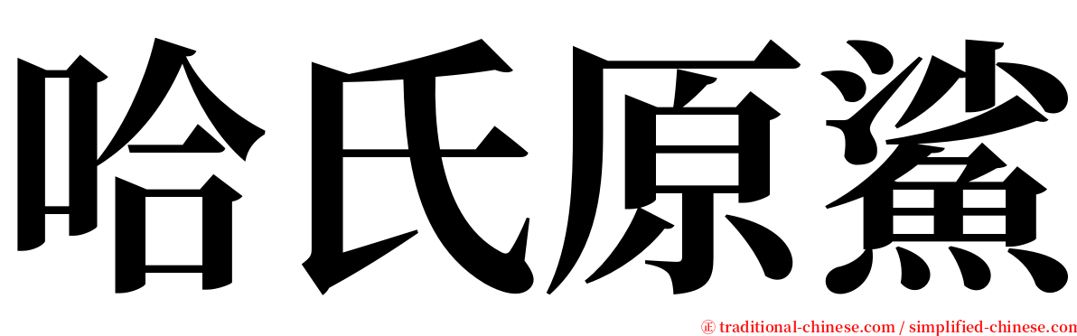 哈氏原鯊 serif font