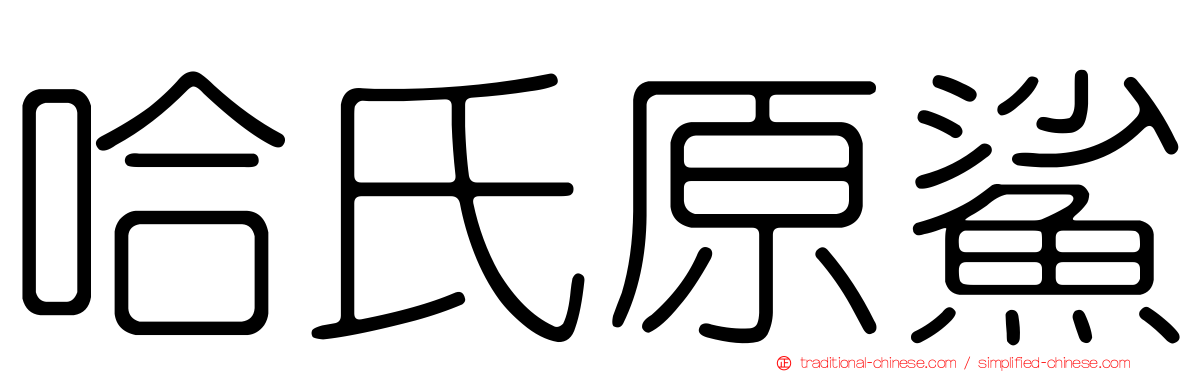 哈氏原鯊
