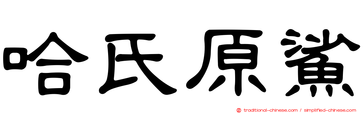 哈氏原鯊
