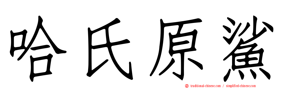 哈氏原鯊