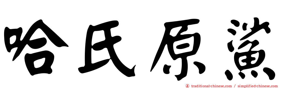 哈氏原鯊