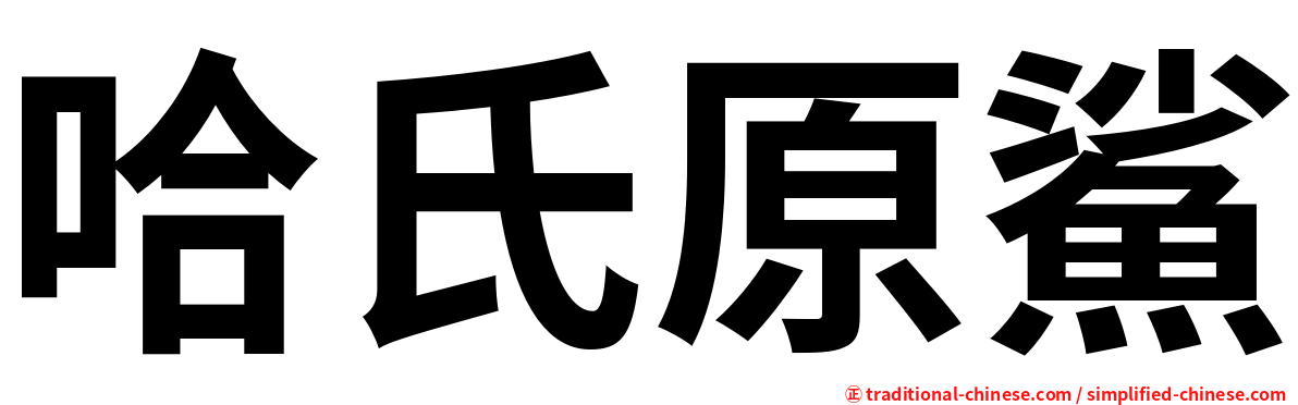 哈氏原鯊