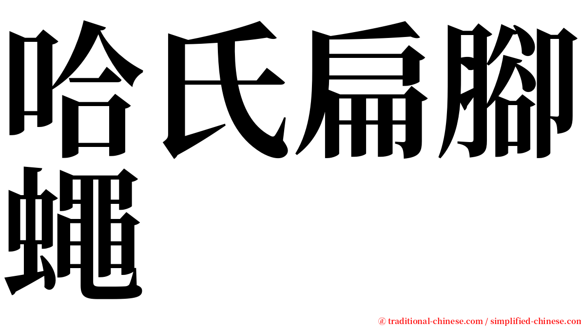 哈氏扁腳蠅 serif font