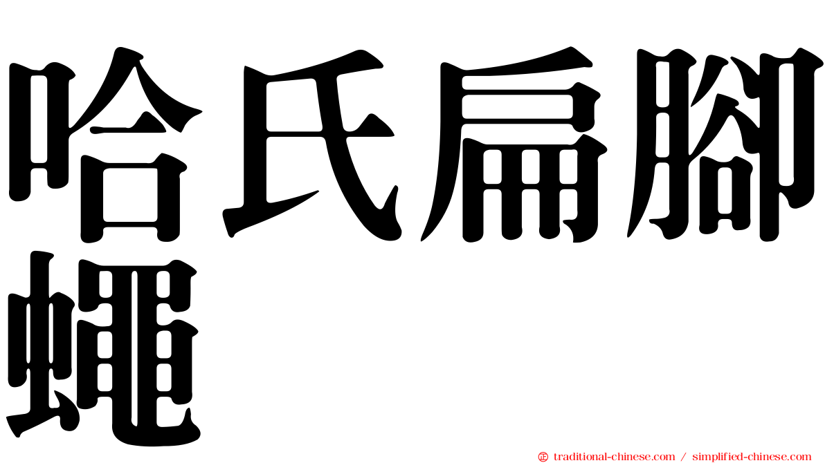 哈氏扁腳蠅