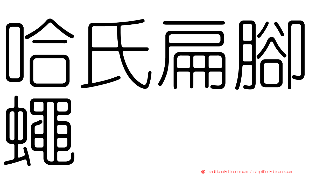 哈氏扁腳蠅