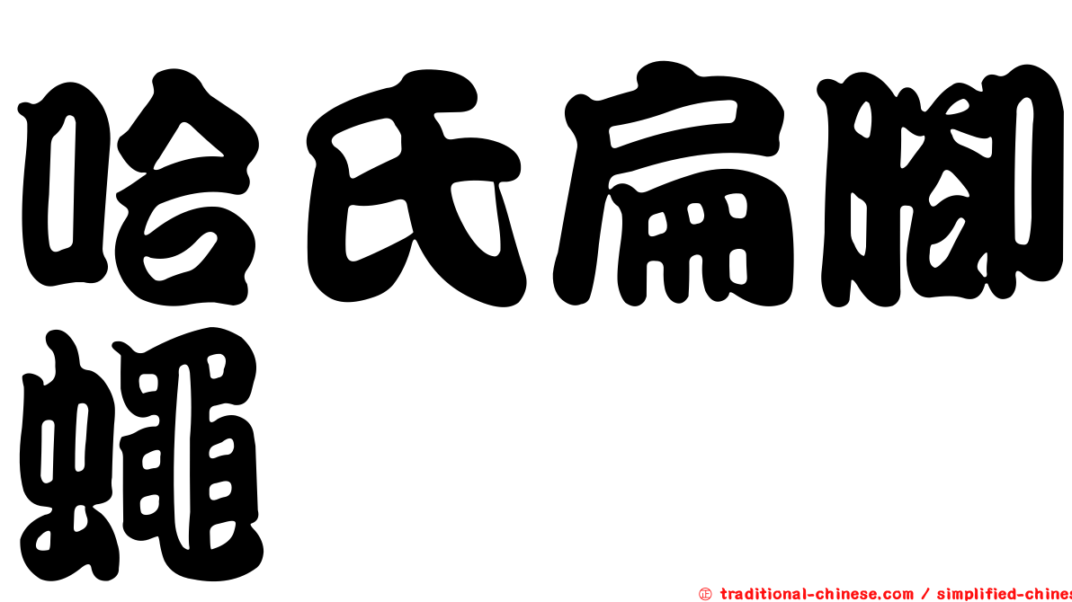 哈氏扁腳蠅