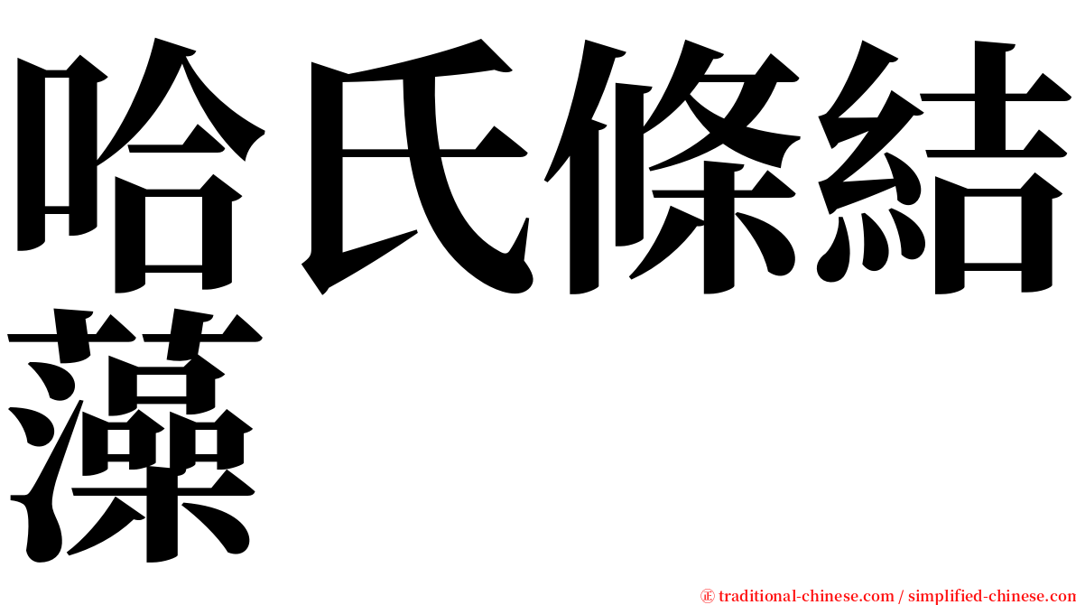 哈氏條結藻 serif font