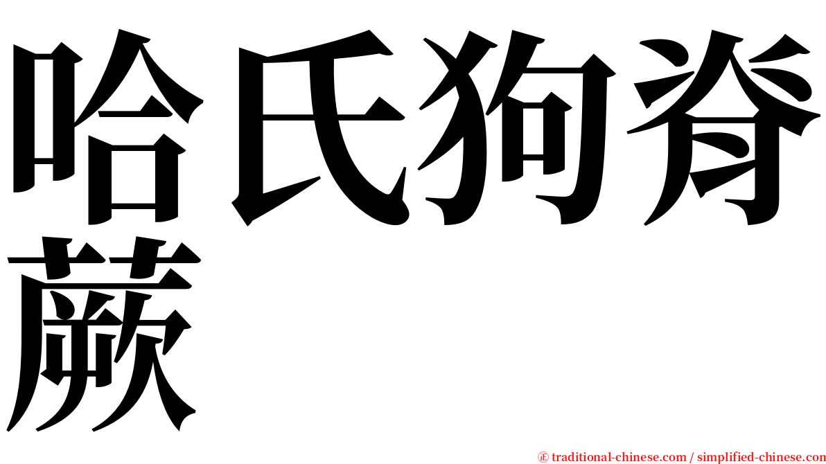 哈氏狗脊蕨 serif font