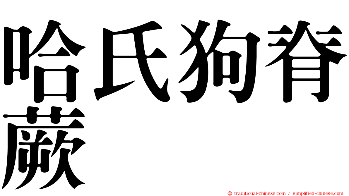 哈氏狗脊蕨