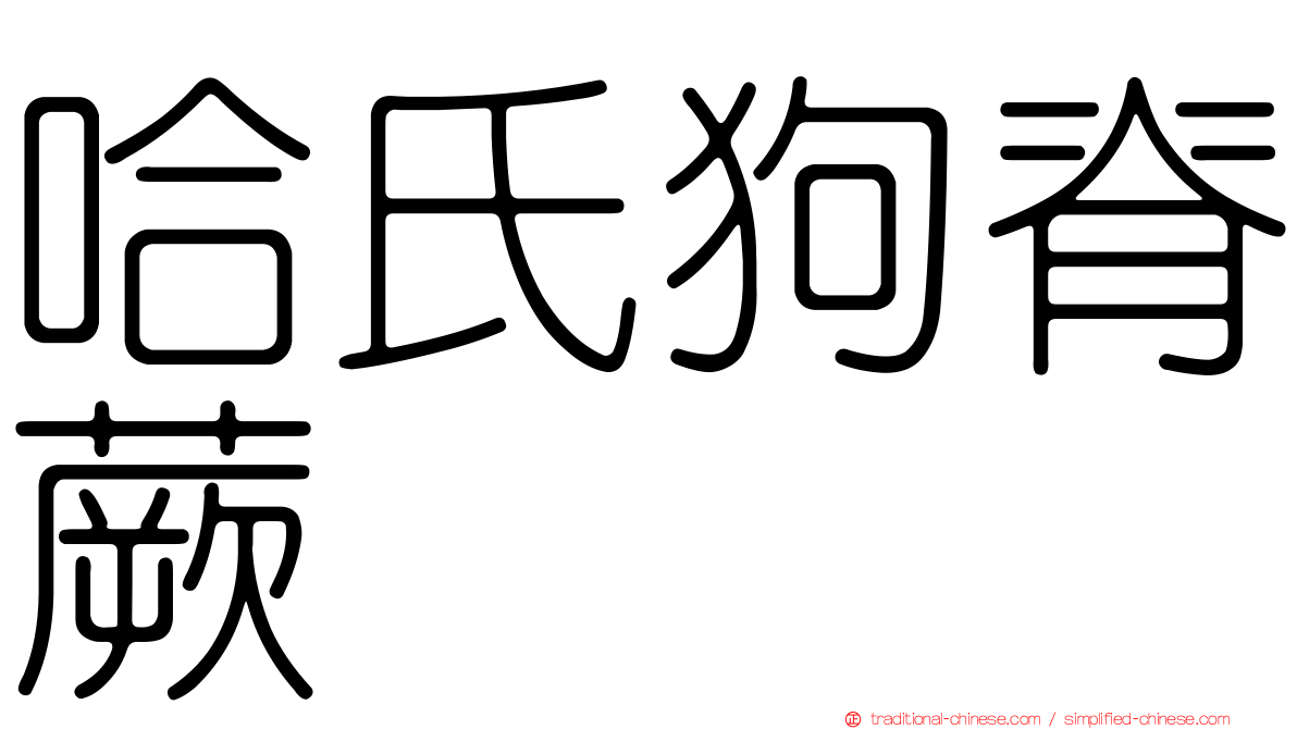哈氏狗脊蕨
