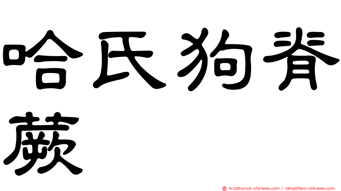 哈氏狗脊蕨