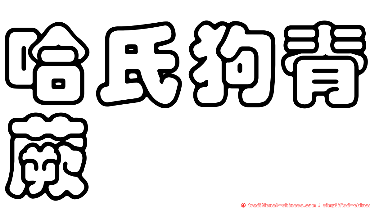 哈氏狗脊蕨