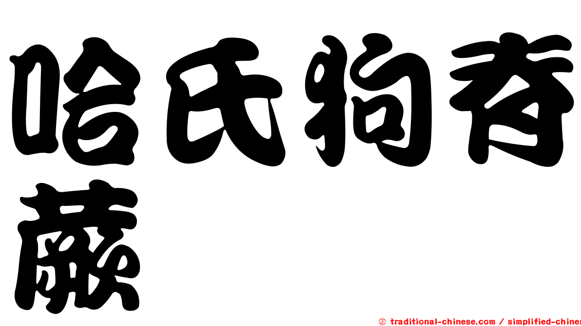 哈氏狗脊蕨