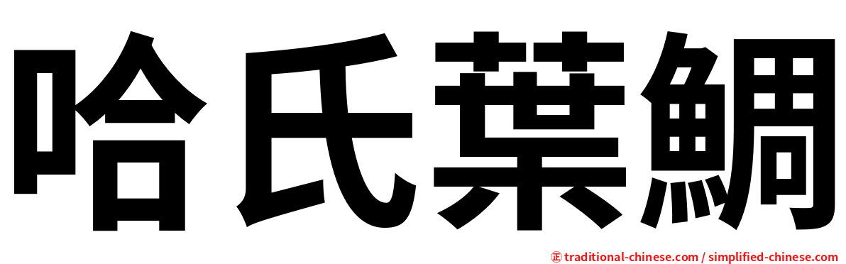 哈氏葉鯛