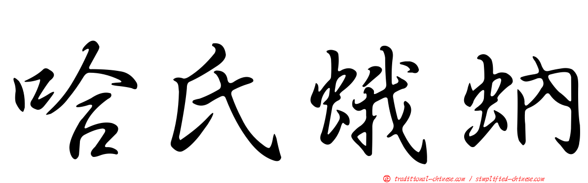 哈氏蛾蚋