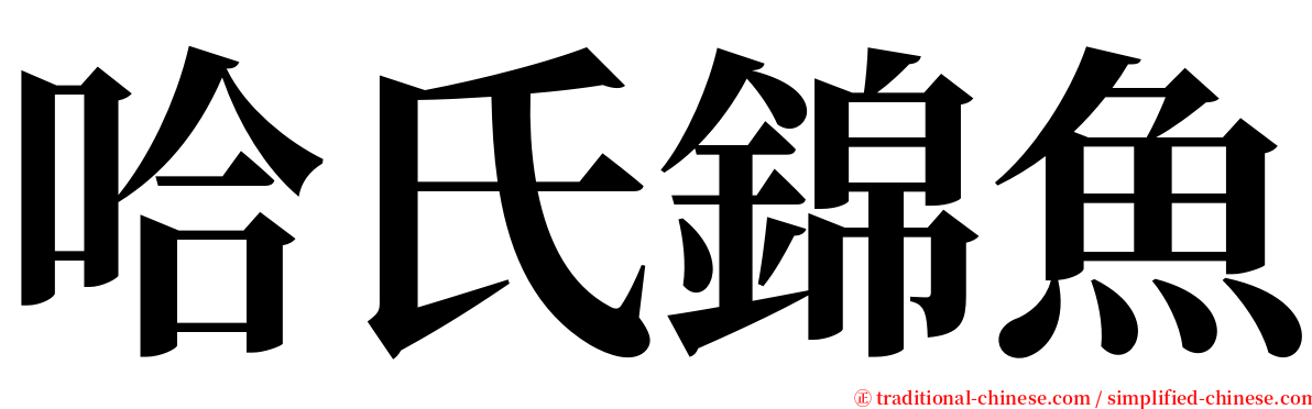 哈氏錦魚 serif font