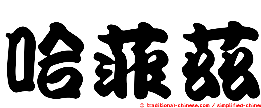 哈菲茲