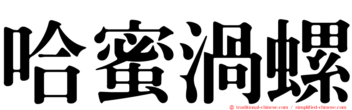 哈蜜渦螺