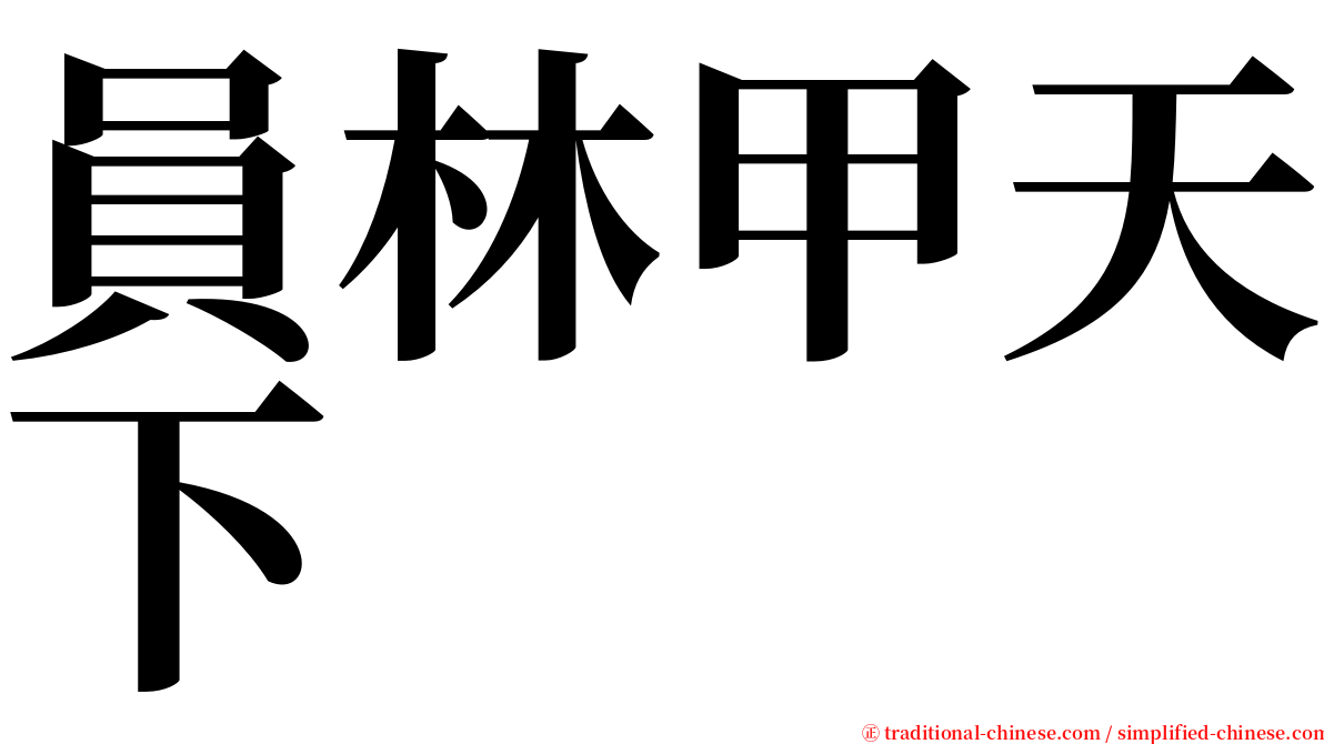 員林甲天下 serif font