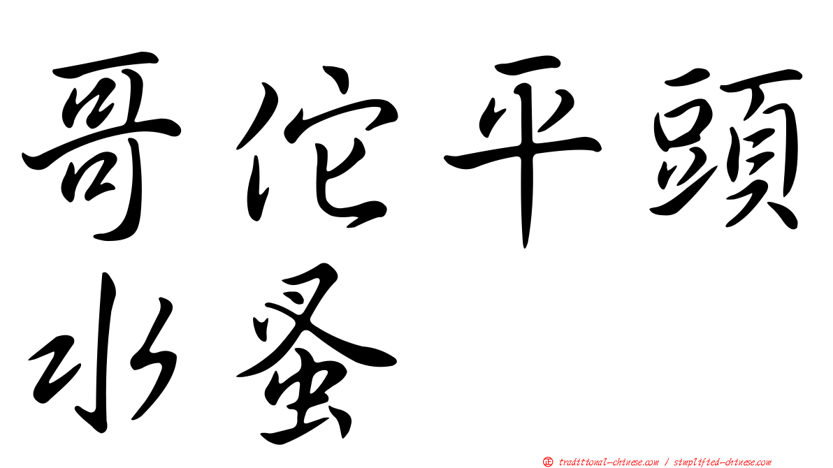 哥佗平頭水蚤