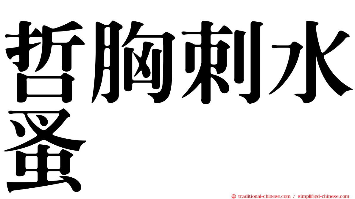 哲胸刺水蚤