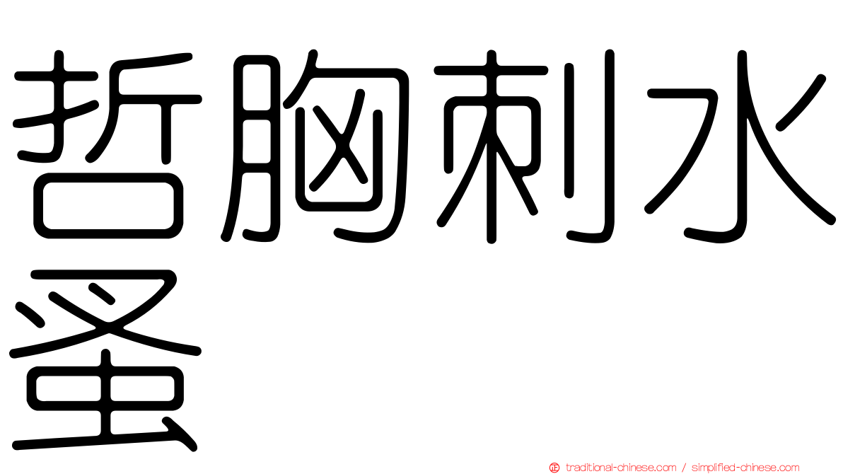 哲胸刺水蚤