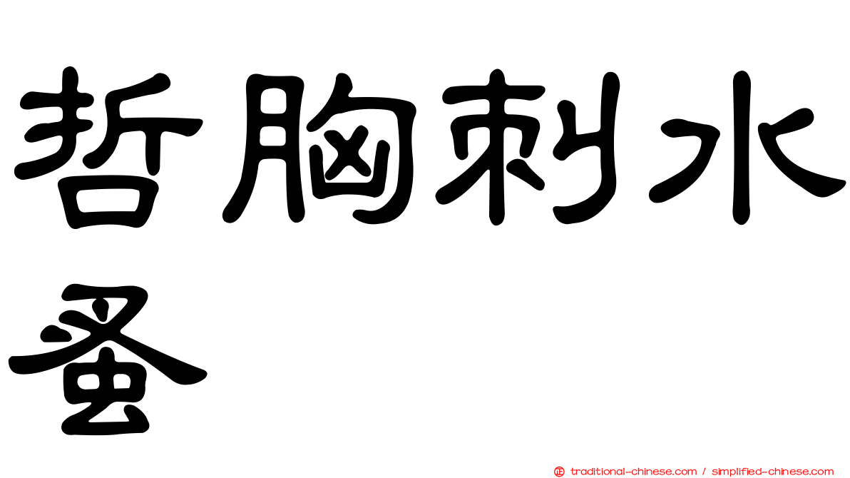 哲胸刺水蚤