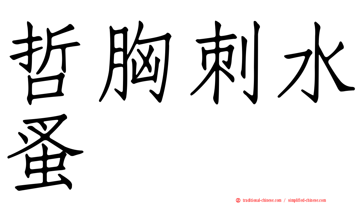 哲胸刺水蚤
