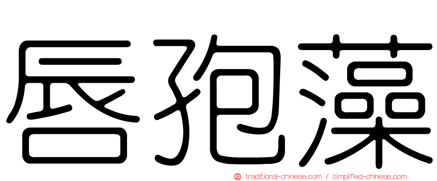 唇孢藻