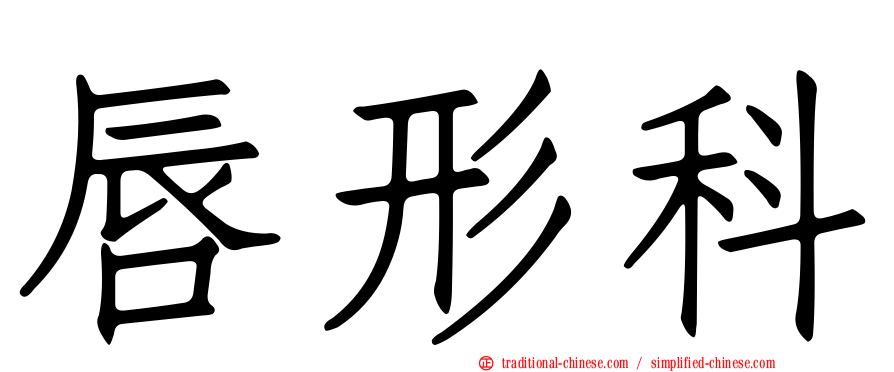 唇形科